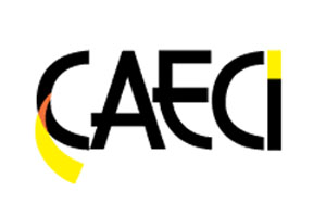 caeci